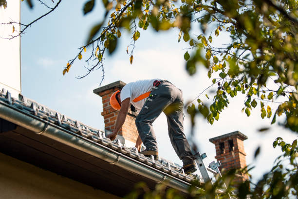Best Flat Roofing  in Dahlone, GA